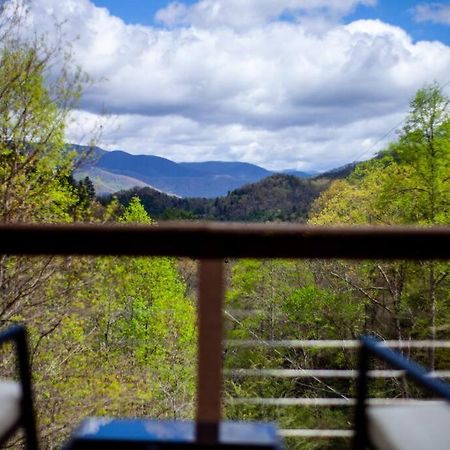 Family Cabin Near Smoky Mtn Entrance Nantahala Robbinsville Ngoại thất bức ảnh