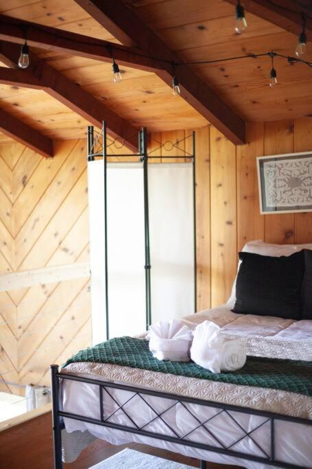 Family Cabin Near Smoky Mtn Entrance Nantahala Robbinsville Ngoại thất bức ảnh