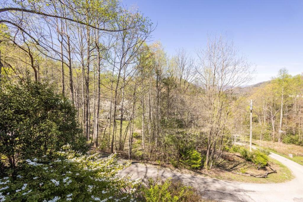 Family Cabin Near Smoky Mtn Entrance Nantahala Robbinsville Ngoại thất bức ảnh